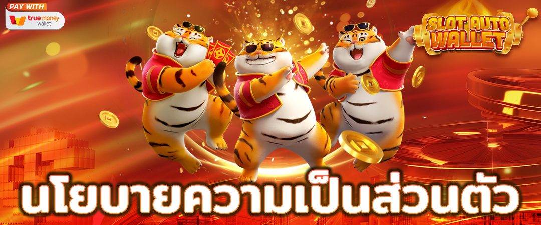 นโยบายความเป็นส่วนตัว